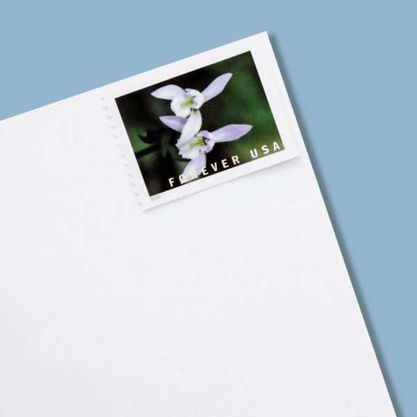 U.S. 2021 Wild Orchids Framed Forever Stamps - Image 2