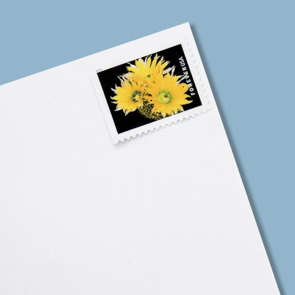 U.S. 2019 Cactus Forever Stamps - Image 6