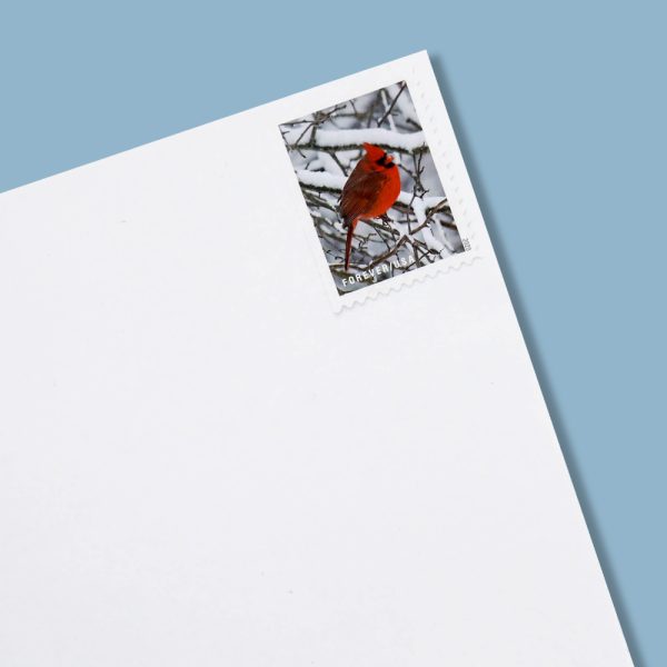 2020 US ‘Winter Scenes’ Forever Postage Stamps - Image 6