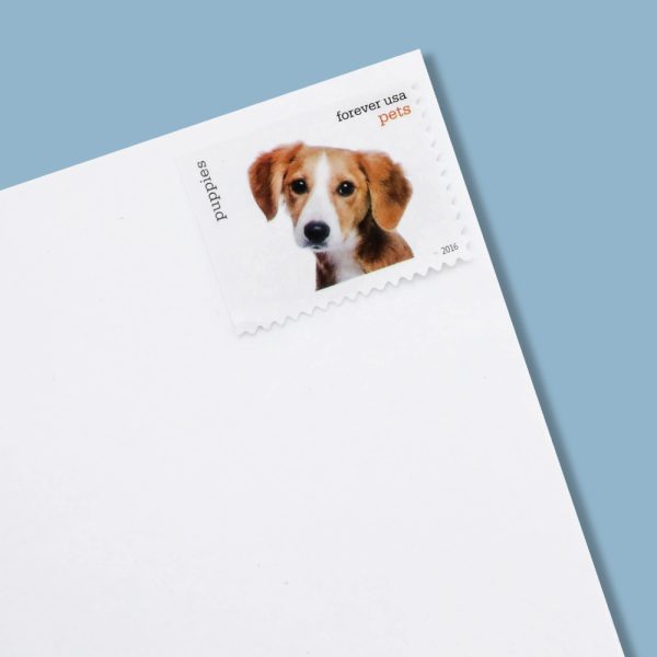 2016 US Pets Forever Stamps - Image 6